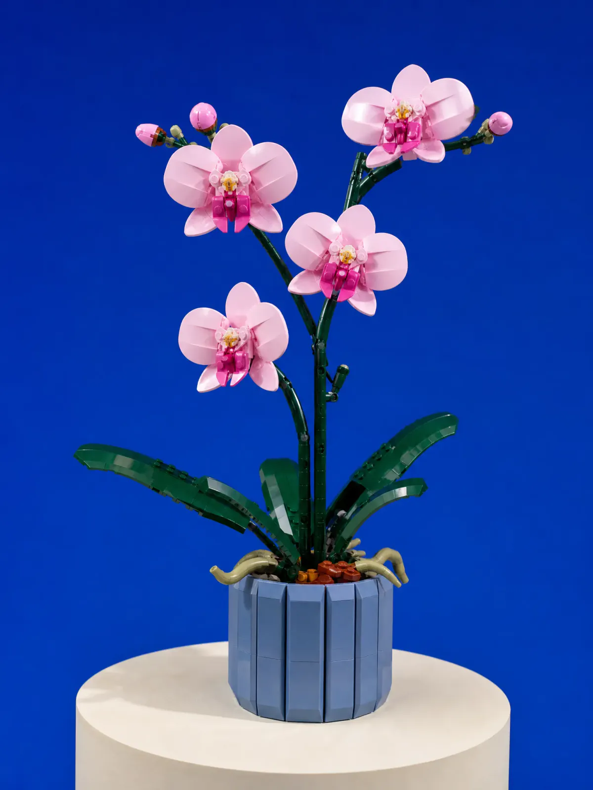 Independent lifestyle concept featuring a LEGO Botanicals orchid as a creative home object.