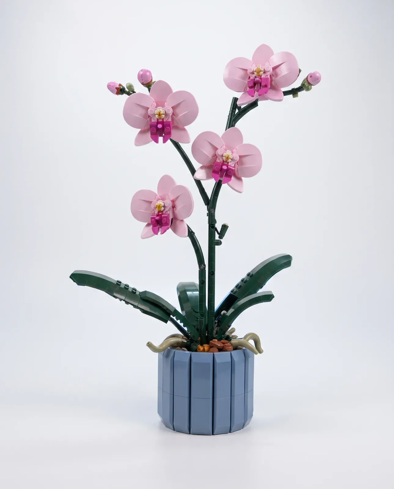A complex botanical model with petals, stems, gaps, and pot edges readable on white.